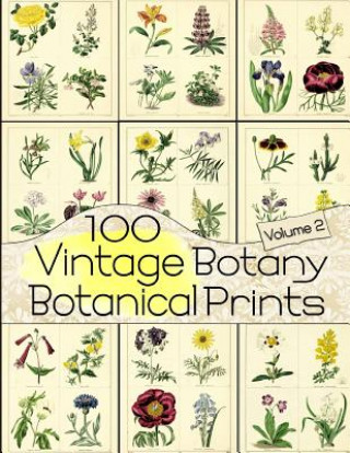 100 Vintage Botany Botanical Prints Volume 2 (C Anders)(Puha kötésű)