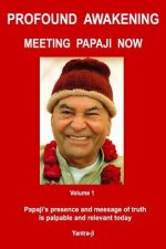 Profound Awakening Meeting Papaji Now - Vol 1