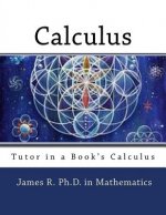 Tutor in a Book's Calculus