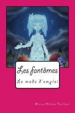 Les fantômes, le mode d'emploi