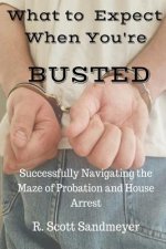 What To Expect When You're Busted: Successfully Navigating the Maze of Probation and House Arrest