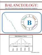 Balanceology: : The 4 M's of motivation, meaning, measurement, mitigation