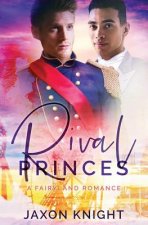 Rival Princes: A gay mm contemporary sweet romance