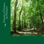 Forests of France in Pictures: A Text-Free Picture Book for Alzheimer's, Seniors, Children