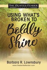 Using What's Broken to Boldly Shine: Dented Fender