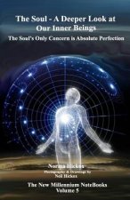 The Soul - A Deeper Look at Our Inner Beings: The Soul's Only Concern is Absolute Perfection