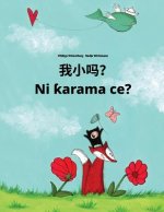 Wo Xiao Ma? Ni Karama Ce?: Chinese [simplified]/Mandarin Chinese-Hausa (Harshen Hausa): Children's Picture Book (Bilingual Edition)