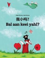 Wo Xiao Ma? Bal Aan Keei Yahl?: Chinese [simplified]/Mandarin Chinese-Sandic: Children's Picture Book (Bilingual Edition)