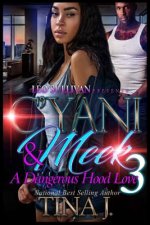 C'Yani & Meek 3: A Dangerous Hood Love