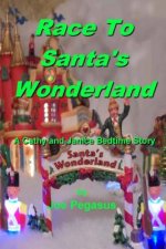 Race To Santa's Wonderland: Another Christmas Cathy and Janice Bedtime Story