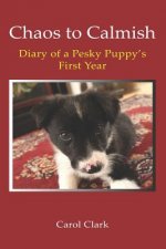 Chaos to Calmish: Diary of a Pesky Puppy's first year