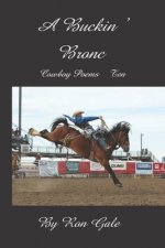 A Buckin' Bronc: Cowboy poems ten