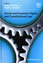 Social and Economic Rights and Constitutional Law