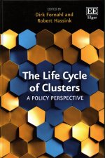 Life Cycle of Clusters