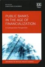 Public Banks in the Age of Financialization