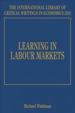 Learning in Labour Markets