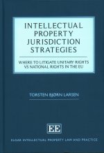 Intellectual Property Jurisdiction Strategies