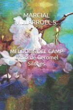 Melodies del Camp l'Inici de Geromel Silohes