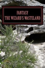 Fantasy The Wizard's Wasteland