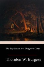 The Boy Scouts in A Trapper's Camp