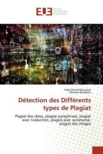 Détection des Différents types de Plagiat