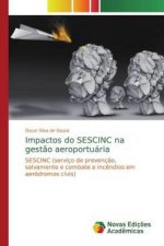 Impactos do SESCINC na gest?o aeroportuária