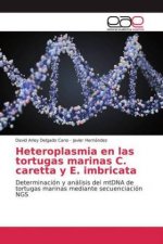 Heteroplasmia en las tortugas marinas C. caretta y E. imbricata