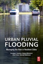 Urban Pluvial Flooding
