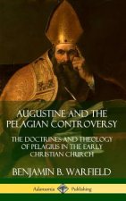 Augustine and the Pelagian Controversy: The Doctrines and Theology of Pelagius in the Early Christian Church (Hardcover)