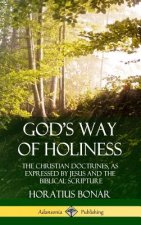 God's Way of Holiness: The Christian Doctrines, as Expressed by Jesus and the Biblical Scripture (Hardcover)