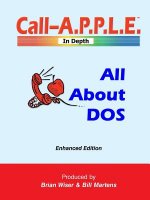 All About DOS: Enhanced Edition