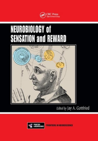 Neurobiology of Sensation and Reward