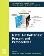 Electrochemical Power Sources: Fundamentals, Systems, and Applications