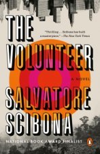 Volunteer