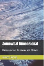 Somewhat Dimensional: Happenings of Hengway and Cleavie