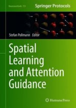 Spatial Learning and Attention Guidance