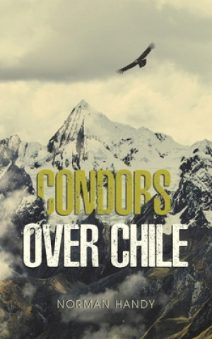 Condors Over Chile