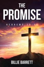 Promise