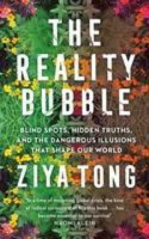 Reality Bubble