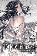 Torture Princess: Fremd Torturchen, Vol. 3 (light novel)