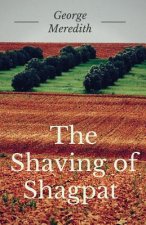 Shaving of Shagpat