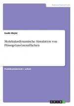 Molekulardynamische Simulation von Flüssig-Gas-Grenzflächen