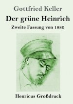 Der grune Heinrich (Grossdruck)