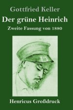 Der grune Heinrich (Grossdruck)