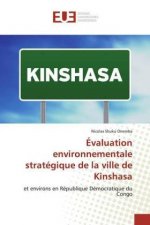 Évaluation environnementale stratégique de la ville de Kinshasa
