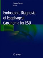 Endoscopic Diagnosis of Esophageal Carcinoma for ESD
