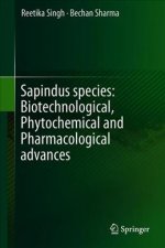Biotechnological Advances, Phytochemical Analysis and Ethnomedical Implications of Sapindus species