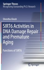 SIRT6 Activities in DNA Damage Repair and Premature Aging