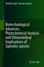 Biotechnological Advances, Phytochemical Analysis and Ethnomedical Implications of Sapindus species