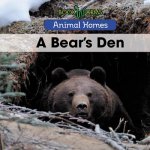 A Bear's Den